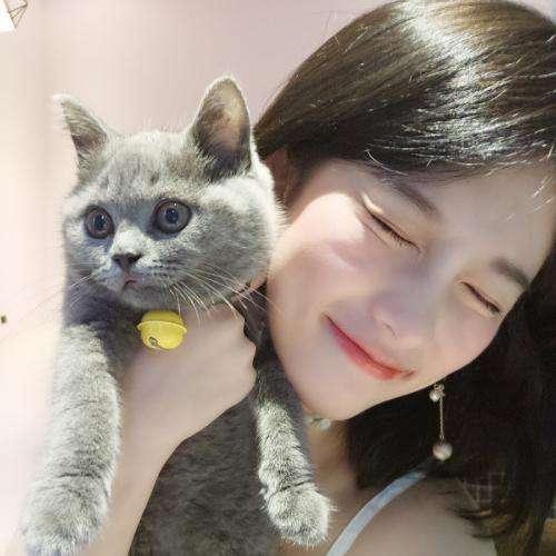 傳香教莫憐惜