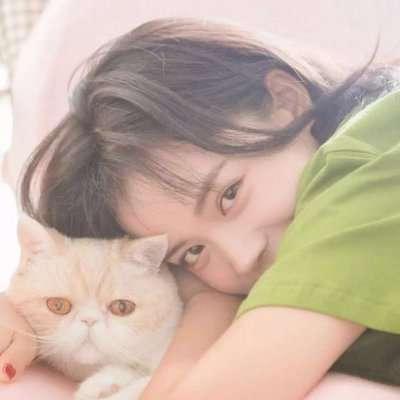 土军无人机出动视频在线观看高清免费版