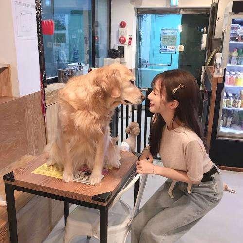 生死離別
