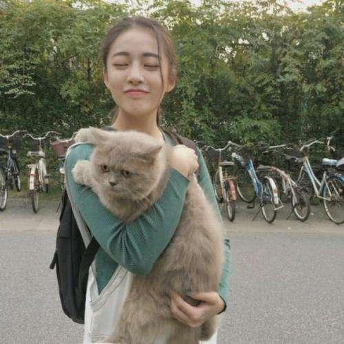 很蠢很蠢