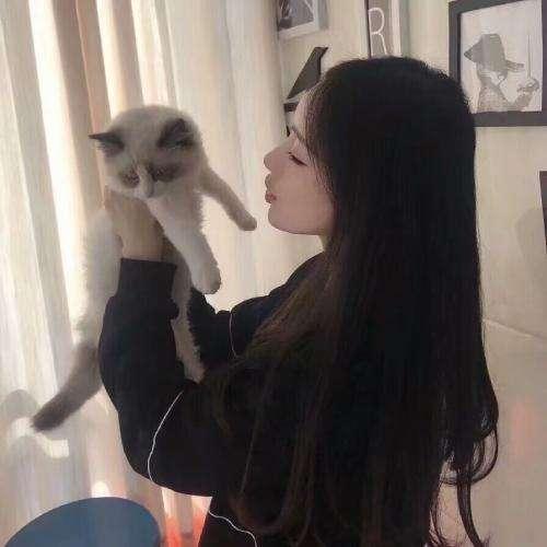 靈獸化形