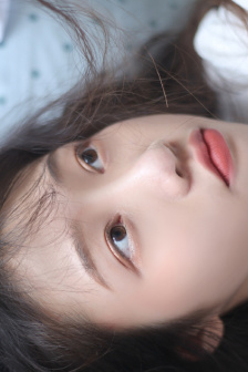 鴿子